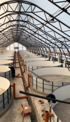 В Восточно-Казахстанской области построят рыбоводческий комплекс стоимостью 348 млн тенге