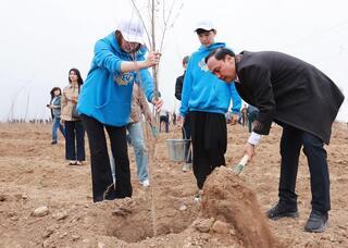 Таза Қазақстан: в Таразе высажено 10 тысяч деревьев