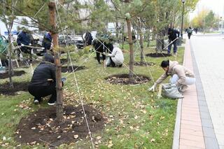 «Таза Қазақстан»: в Астане продолжается масштабный экомесячник