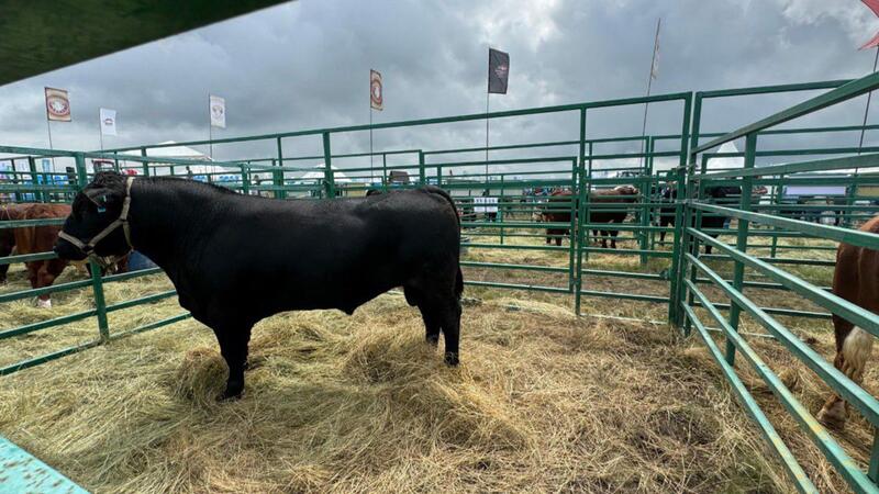 Казахстанская продукция выходит на рынки ЕС и стран Персидского залива