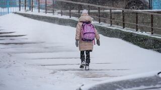 Учащихся начальных классов столичных школ перевели на онлайн-обучение
