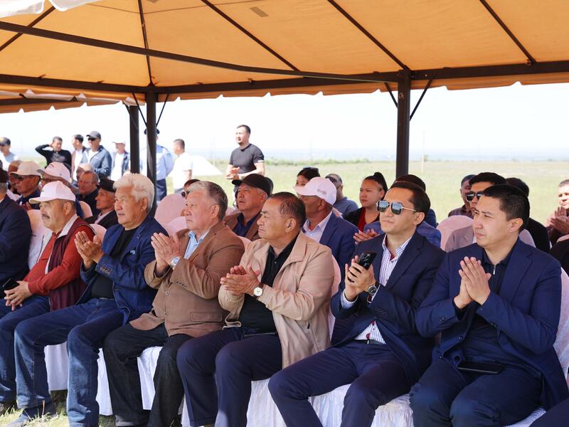 В Жамбылской области началось строительство предприятия по производству 60 млн инкубационных яиц в год