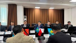 Проект Fufeng Group по глубокой переработке 1 млн тонн кукурузы в год реализуется в Казахстане