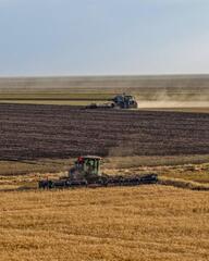 Почти 9 млн тонн зерновых намолочено в Казахстане