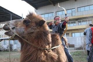 4 мишени за 10 секунд с верблюда: на ипподроме Алматы установлен мировой рекорд