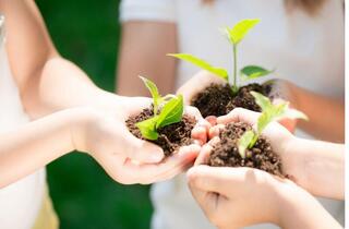 Таза Қазақстан: Ответственность за экологические нарушения