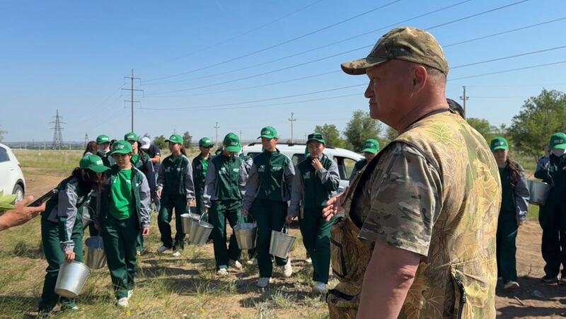 Экологическое воспитание: забота о природе – в руках молодёжи