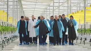 ХОД РЕАЛИЗАЦИИ АГРОПРОМЫШЛЕННЫХ ПРОЕКТОВ В ТУРКЕСТАНСКОЙ ОБЛАСТИ НАХОДИТСЯ ПОД ПРИСТАЛЬНЫМ ВНИМАНИЕМ