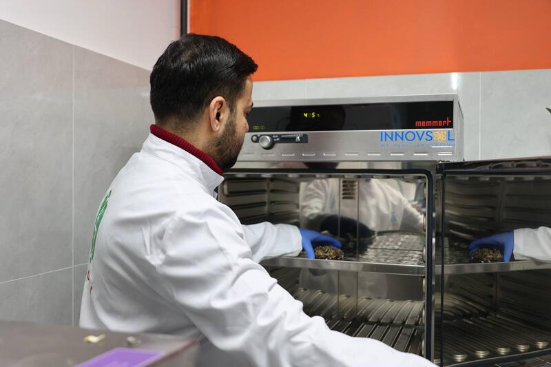 Ученые Сатпаева разработали ценные материалы из сельхозотходов