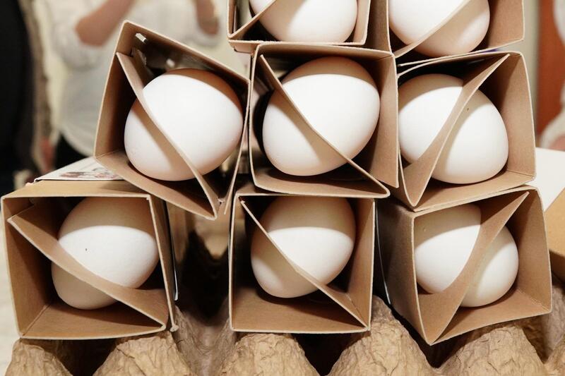 В ВКО прошел «Шығыс агрофорум», ставший открытой площадкой для диалога представителей агросектора