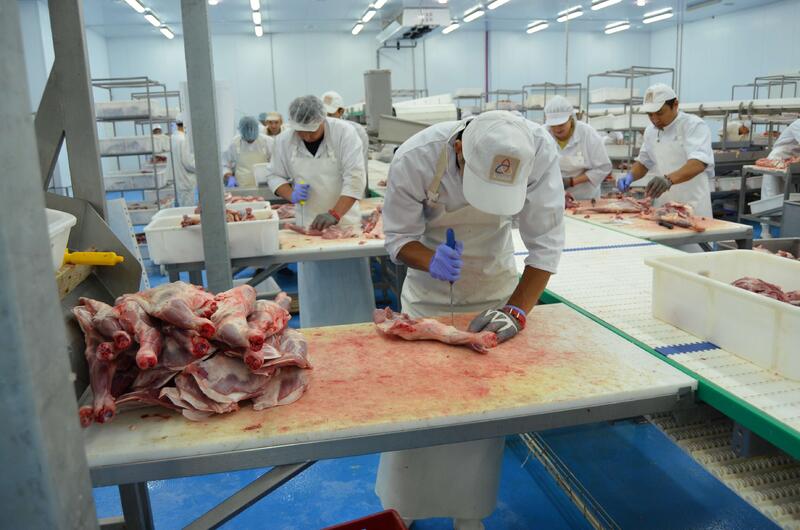 «Кублей» расширяет мясопереработку за счет развития животноводческого направления
