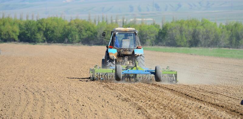 В Жетісу активно продолжается весенняя посевная кампания