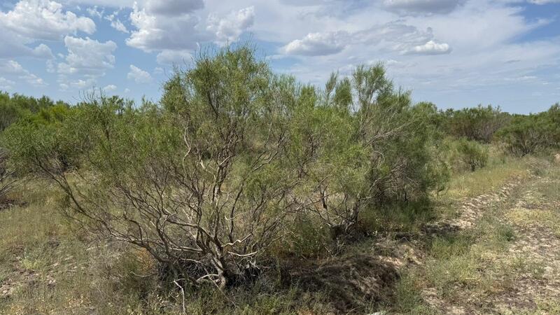 Посещение лесхоза в рамках рабочей поездки