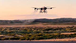 В Карагандинской области началась масштабная борьба с саранчой