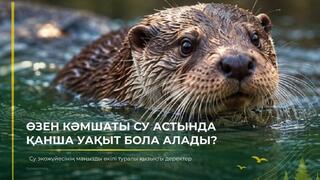 Как долго речная выдра может находиться под водой?
