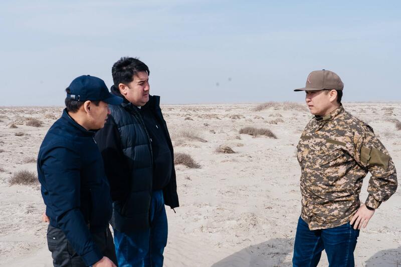 Исследования и озеленение: в Атырау разрабатывают меры по борьбе с пыльными бурями