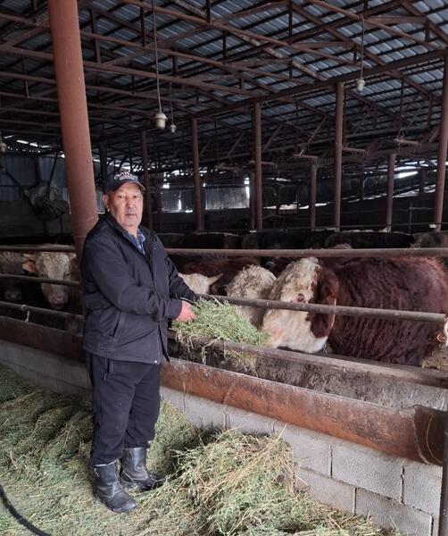 Фермерство как дело жизни: путь от идеи к устойчивому хозяйству