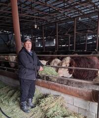 Фермерство как дело жизни: путь от идеи к устойчивому хозяйству