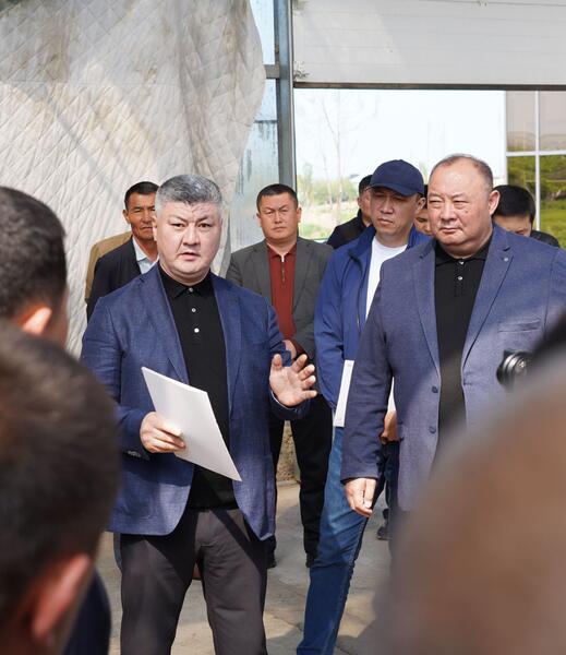 В ТУРКЕСТАНСКОЙ ОБЛАСТИ ВНЕДРЯЮТСЯ ЭКОЛОГИЧЕСКИ ЭФФЕКТИВНЫЕ СПОСОБЫ ОТОПЛЕНИЯ ТЕПЛИЦ