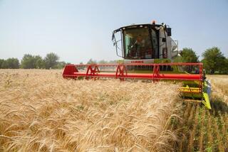 Рекордный урожай и стабильный рост: итоги уборочной кампании 2025 года