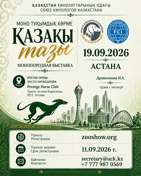 В Астане пройдет монопородная выставка «Казахский тазы»