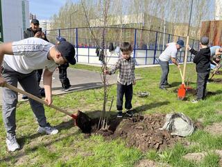 «Таза Қазақстан»: в Астане прошло мероприятие «Сад будущего — озеленение школьного двора»