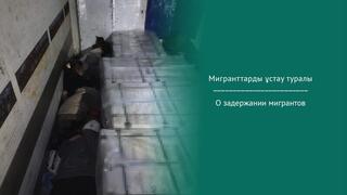 О задержании мигрантов