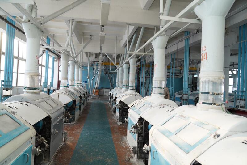 В ТУРКЕСТАНСКОЙ ОБЛАСТИ МОДЕРНИЗИРОВАН И ЗАПУЩЕН СОВРЕМЕННЫЙ ЗАВОД ПО ПЕРЕРАБОТКЕ ПШЕНИЦЫ