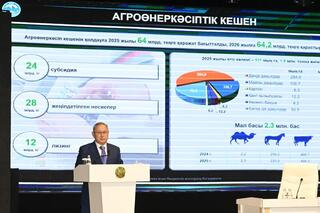 Бейбит Исабаев поручил акиму города Текели ускорить работу по подключению абонентов к газу