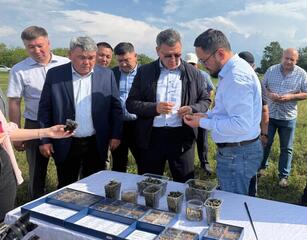 В СКО строят мегаферму на 8 тыс голов