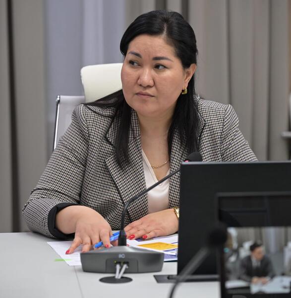 В акимате области на очередном заседании Регионального инвестиционного штаба рассмотрели приоритетные проекты, направленные на диверсификацию экономики