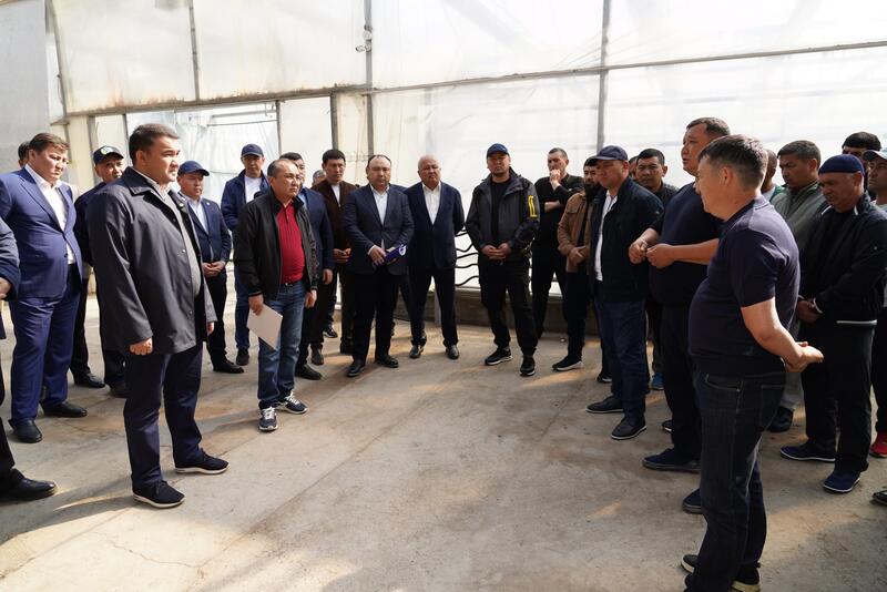 В ТУРКЕСТАНСКОЙ ОБЛАСТИ ВНЕДРЯЮТСЯ ЭКОЛОГИЧЕСКИ ЭФФЕКТИВНЫЕ СПОСОБЫ ОТОПЛЕНИЯ ТЕПЛИЦ