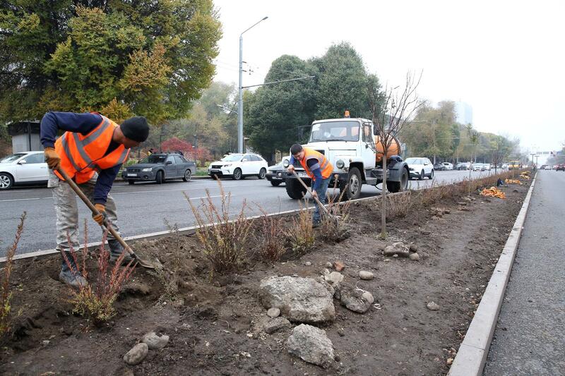 Аким Алматы сообщил о комплексном благоустройстве 11 улиц протяжённостью 49 километров