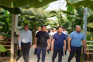 Айдарбек Сапаров обсудил с фермерами Туркестанской области актуальные вопросы развития аграрного сектора