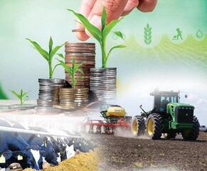 Объем валовой продукции сельского хозяйства увеличился на 3,4% и достиг 3,6 трлн тенге