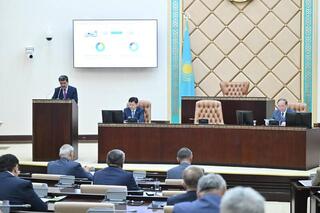 На пути к зелёной экономике: в Сенате прошёл правительственный час по вопросам экологии