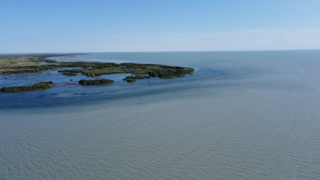 На 32 см вырос уровень воды в озере Балхаш с начала года