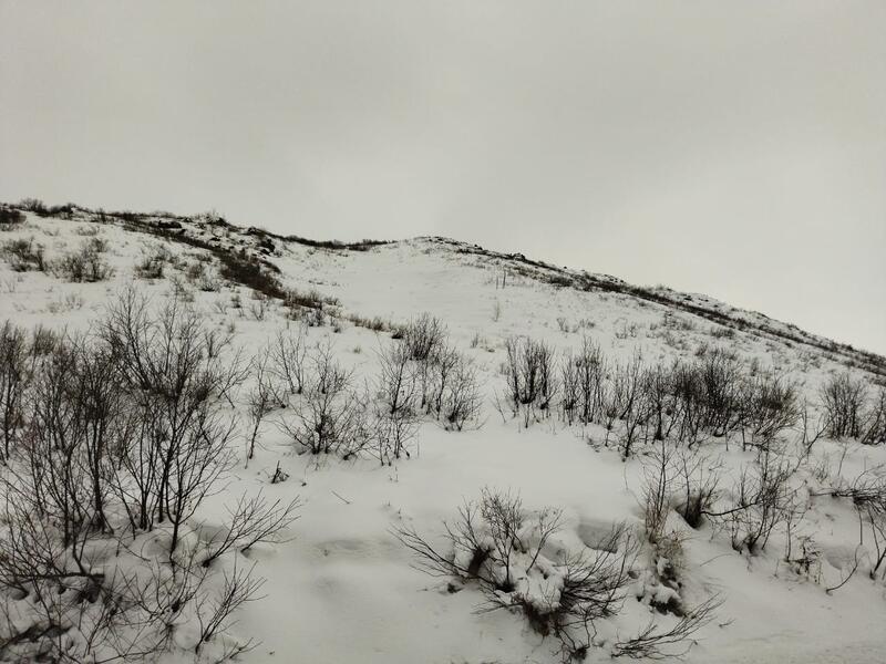 В ВКО проводится мониторинг за лавинной обстановкой