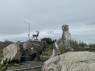 «Таза Қазақстан»: в области Жетісу эко-парк «Қойтас» увеличат до 20 гектаров