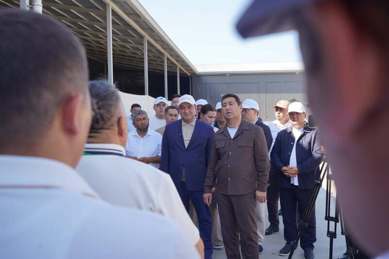 Айдарбек Сапаров: Животноводство становится одной из ключевых точек роста отечественного АПК