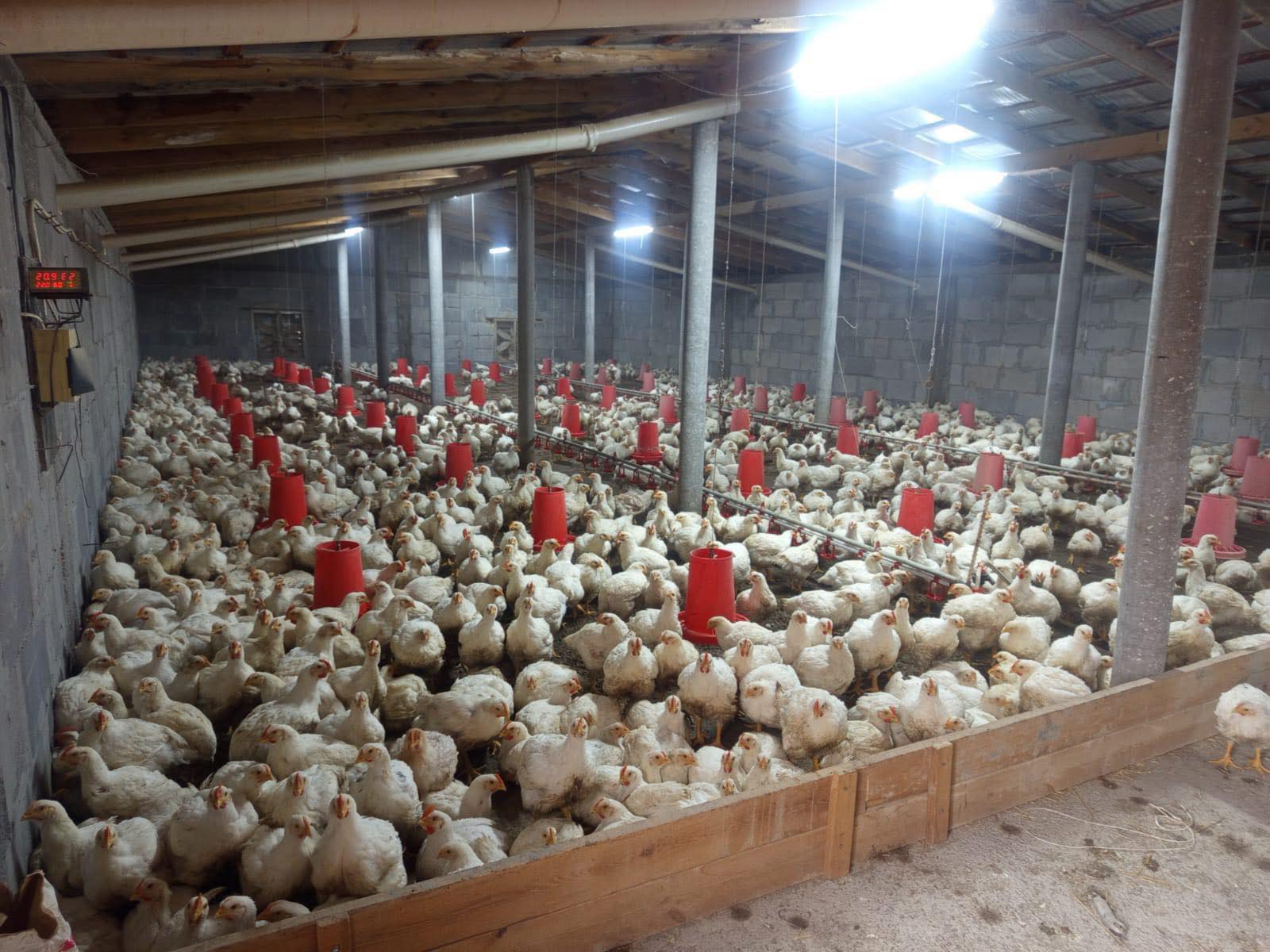 В ТУРКЕСТАНСКОЙ ОБЛАСТИ ОТКРОЮТСЯ НОВЫЕ ЗАВОДЫ И РАБОЧИЕ МЕСТА