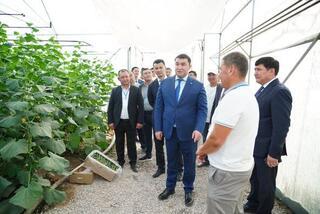 В ОРДАБАСЫ СТРОИТСЯ МАСШТАБНЫЙ ТЕПЛИЧНЫЙ КОМПЛЕКС