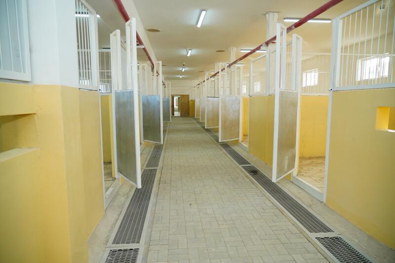 В ЭТОМ ГОДУ В ТУРКЕСТАНЕ ВВЕДУТ В ЭКСПЛУАТАЦИЮ ИППОДРОМ, СООТВЕТСТВУЮЩИЙ МЕЖДУНАРОДНЫМ ТРЕБОВАНИЯМ