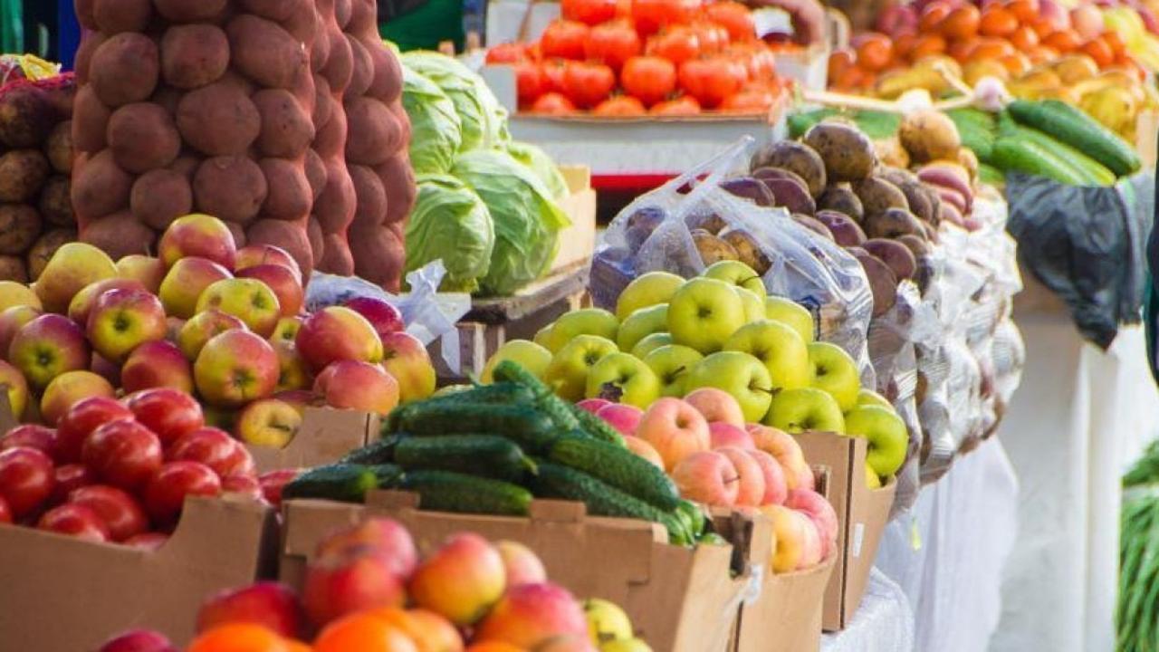 Очередная сельскохозяйственная ярмарка пройдёт в Астане в эти выходные
