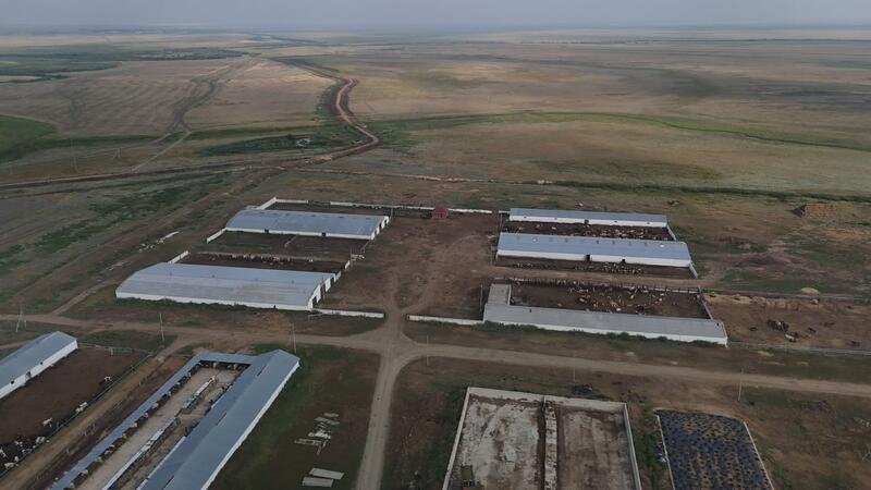 Полный цикл производства и социальная ответственность: опыт одного из ведущих хозяйств Жаркаинского района