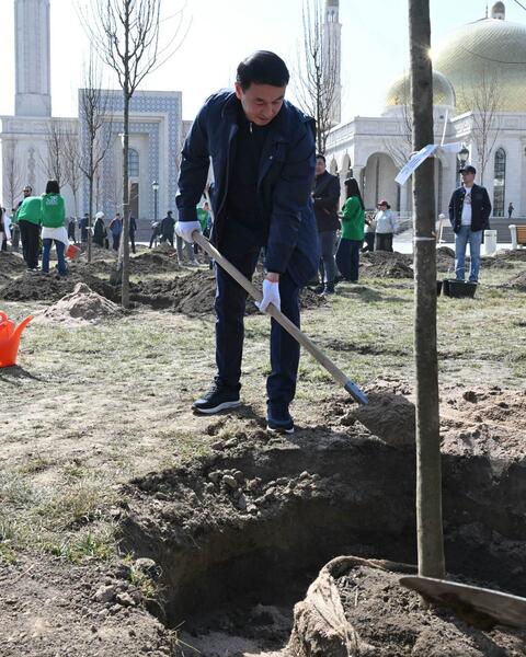 Аким Алматы принял участие в посадке деревьев в рамках празднования Наурыза