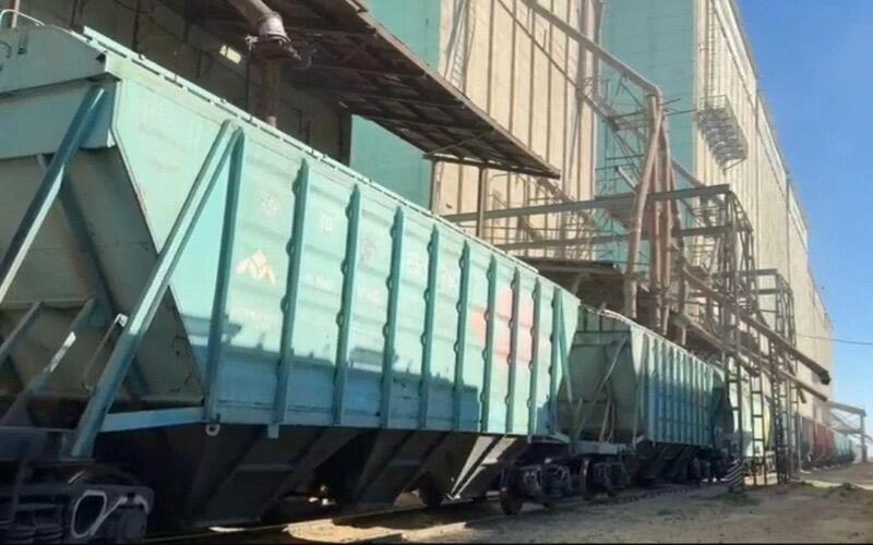 Экспортировано 3,1 млн тонн зерна нового урожая