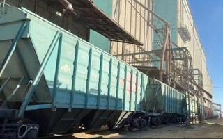 Экспортировано 3,1 млн тонн зерна нового урожая