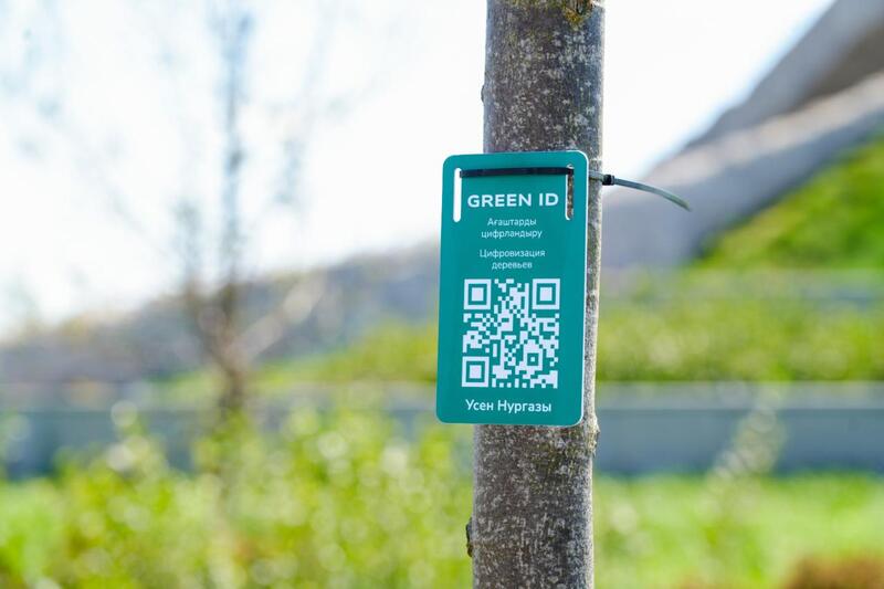 Каждому новорожденному - по дереву: необычную экоакцию провели в Астане