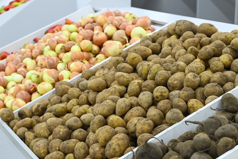 Коммунальный рынок «Syr darya» открылся в Кызылорде